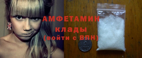 трава Белокуриха