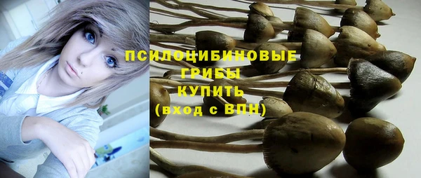 соль ск Белоозёрский