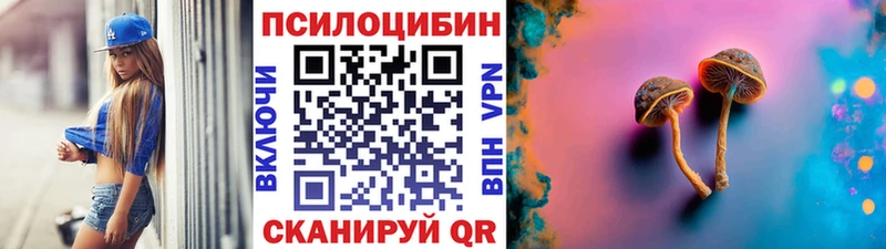Галлюциногенные грибы мицелий  хочу наркоту  Сланцы 