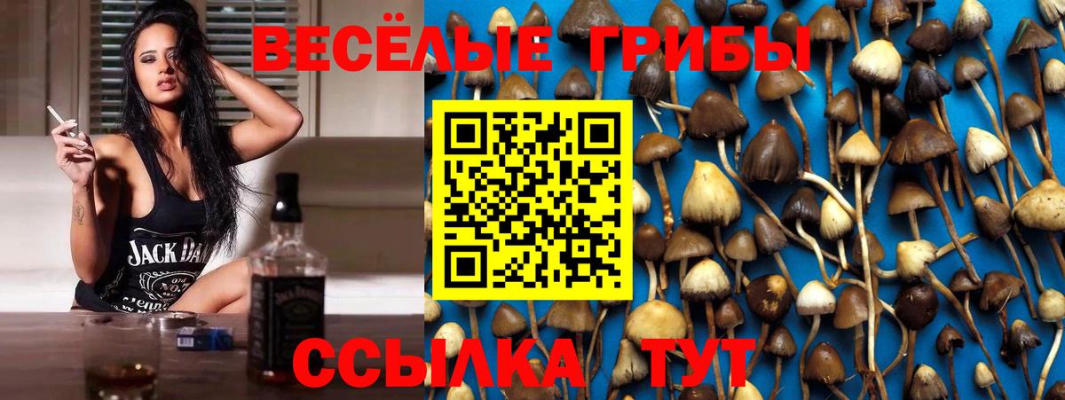 Галлюциногенные грибы мухоморы Сланцы