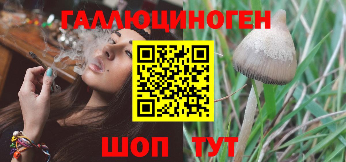 Галлюциногенные грибы MAGIC MUSHROOMS  Вход с VPN  Псилоцибиновые грибы мухоморы  что такое   Сланцы 