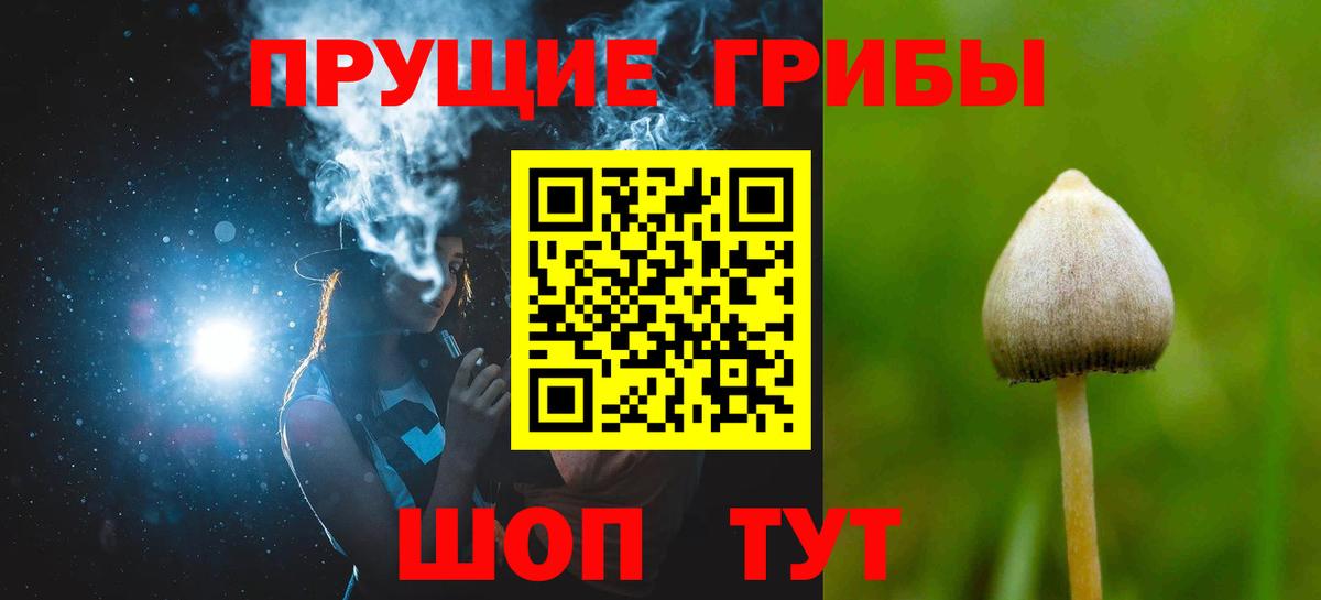 Канабис Сланцы